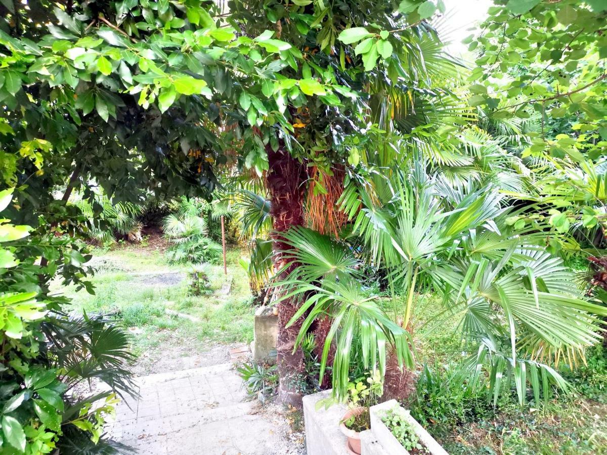 Apartment Ive Opatija